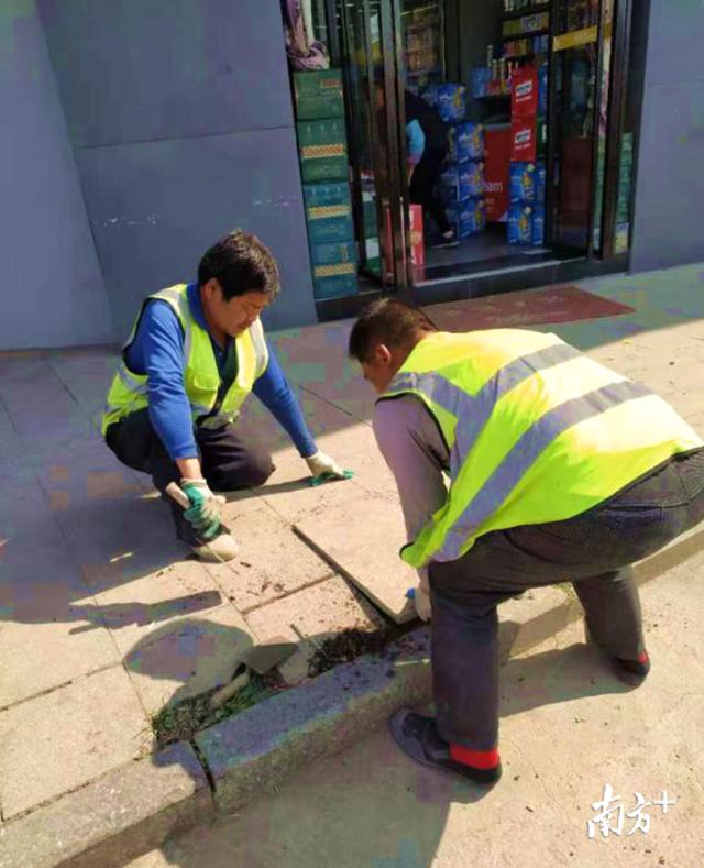 對北山路、南門大道等地段損壞路面進(jìn)行修復(fù)。