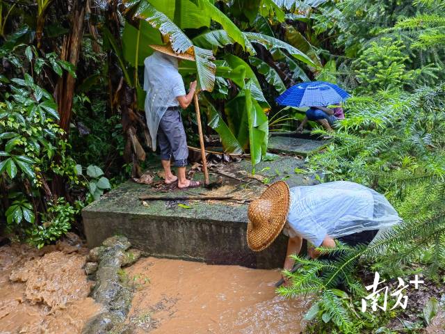 為保障陂嶺近三分之二村民用水，陂嶺村新老干部冒雨前往水源點(diǎn)解決集中供水問題。