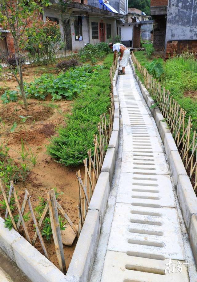 50個自然村建有污水處理系統(tǒng)。記者黃津 攝