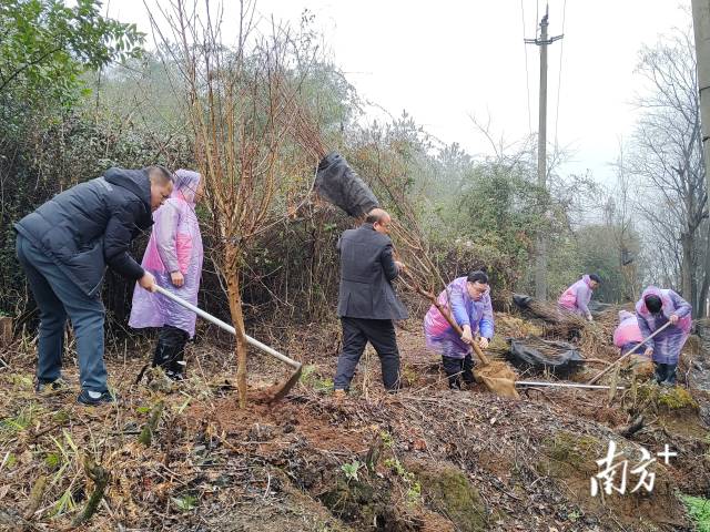 九陂鎮(zhèn)掀起全民義務(wù)植樹熱潮。