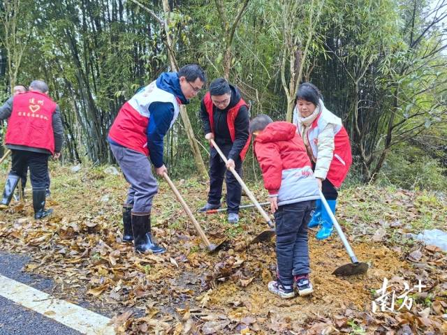 植樹現(xiàn)場(chǎng)。