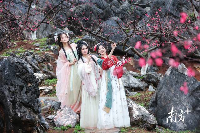 國風(fēng)少女打卡連州桃花季。