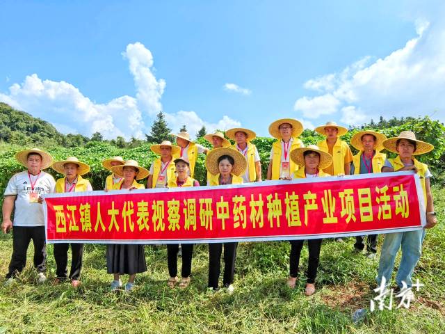 代表們實地調(diào)研，為產(chǎn)業(yè)振興培育新動能。 西江鎮(zhèn) 供圖