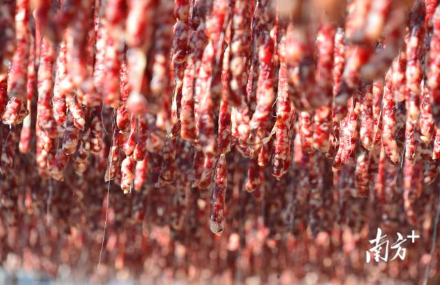 國家地理標志保護產(chǎn)品東陂臘味。黃津 攝