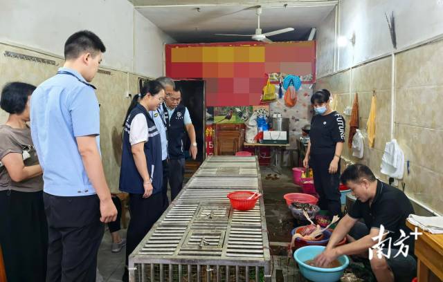 開(kāi)展聯(lián)合檢查，為鳥(niǎo)類等野生動(dòng)物撐起堅(jiān)實(shí)的“保護(hù)傘”。