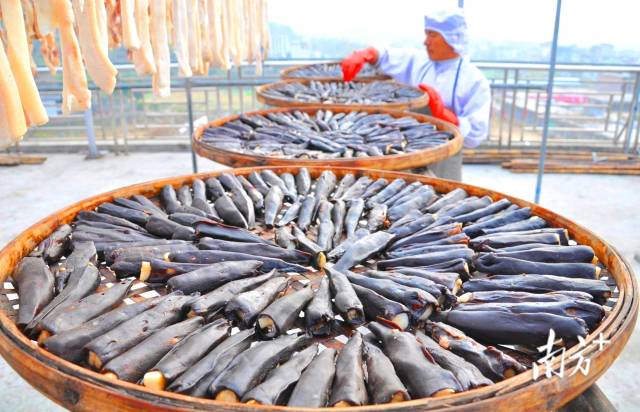 東陂鎮(zhèn)全力把東陂臘味申報(bào)為國(guó)家級(jí)非物質(zhì)文化遺產(chǎn)。黃津 攝