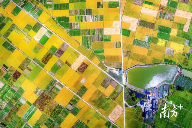 保安鎮(zhèn)立足資源優(yōu)勢(shì)擦亮“富硒小鎮(zhèn)”名片。黃月明 攝