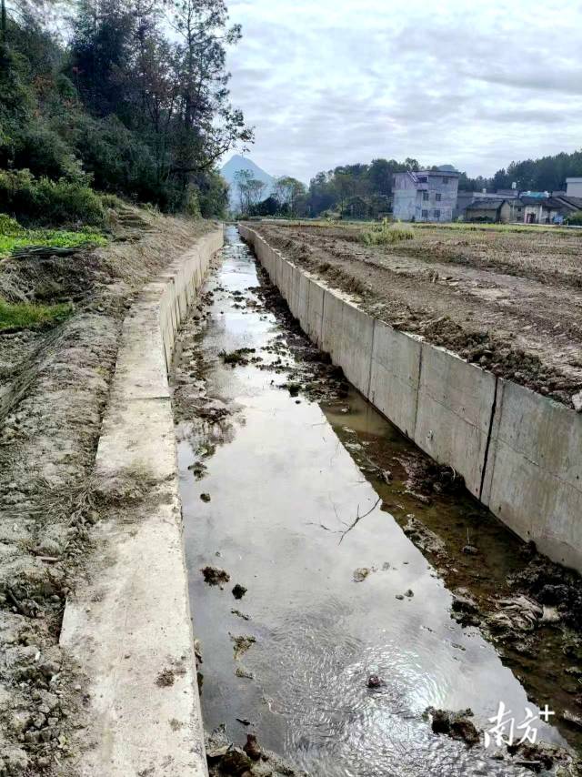 清淤前的渠道。楊鈞著 攝