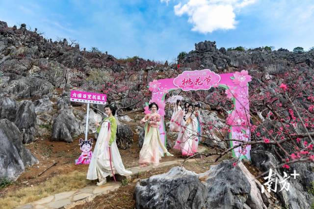 石林桃園依托獨(dú)特地貌打造，還布置了桃花主題打卡點(diǎn)。愛地旅游 供圖