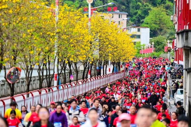 連南半程馬拉松。